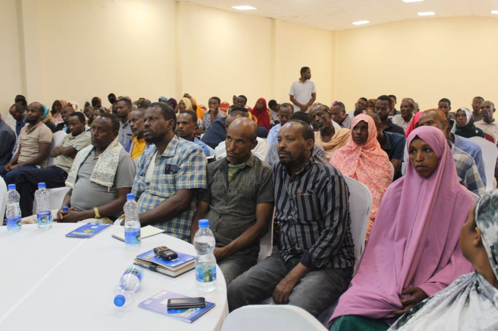 photo_2024-11-20_19-41-11